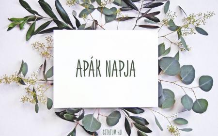 Ap�k Napja